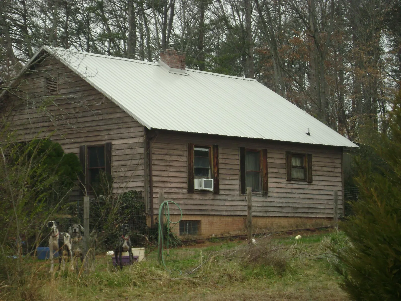 White metal roof on an old wood sided farmhouse, from a Asphalt Shingle Roof Repair job in Honeyville